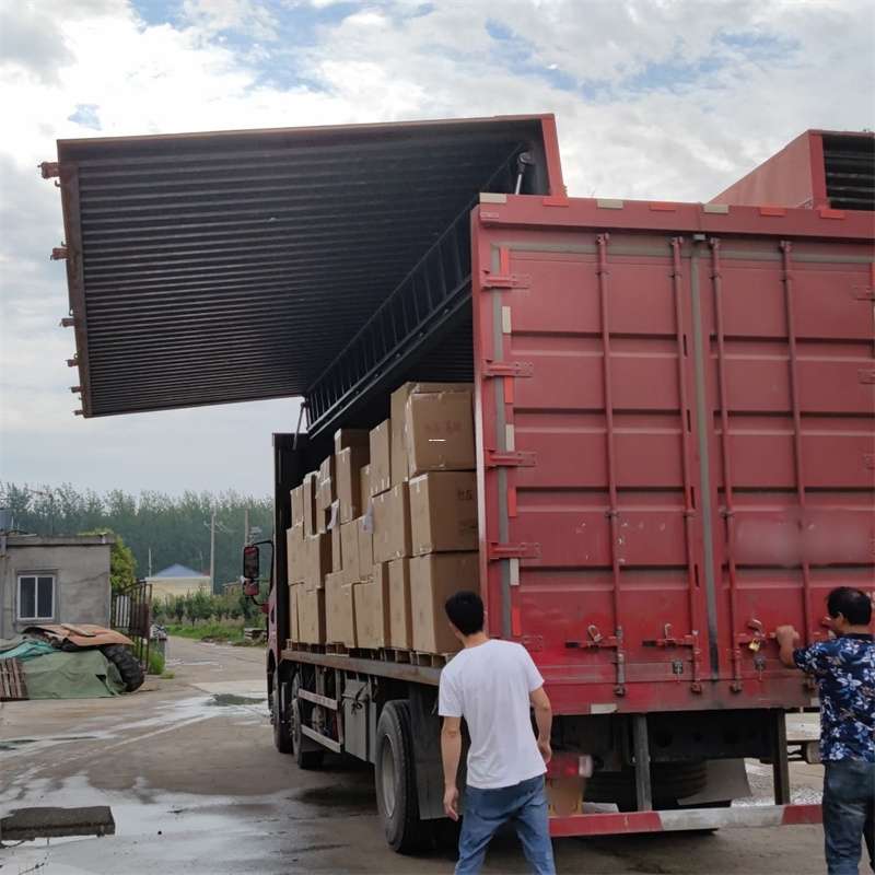叠彩区扎囊县：物流专线的高效货运之旅
